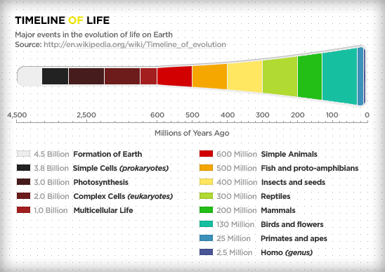 Timeline of Life
